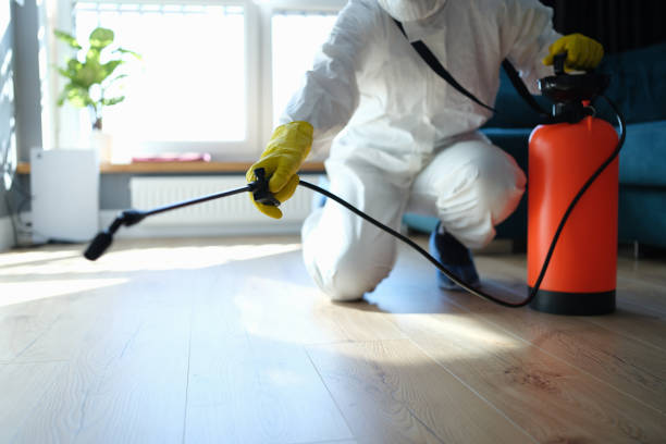 Reliable Odor Removal contractor in Falmouth, ME by Trauma Clean Pros